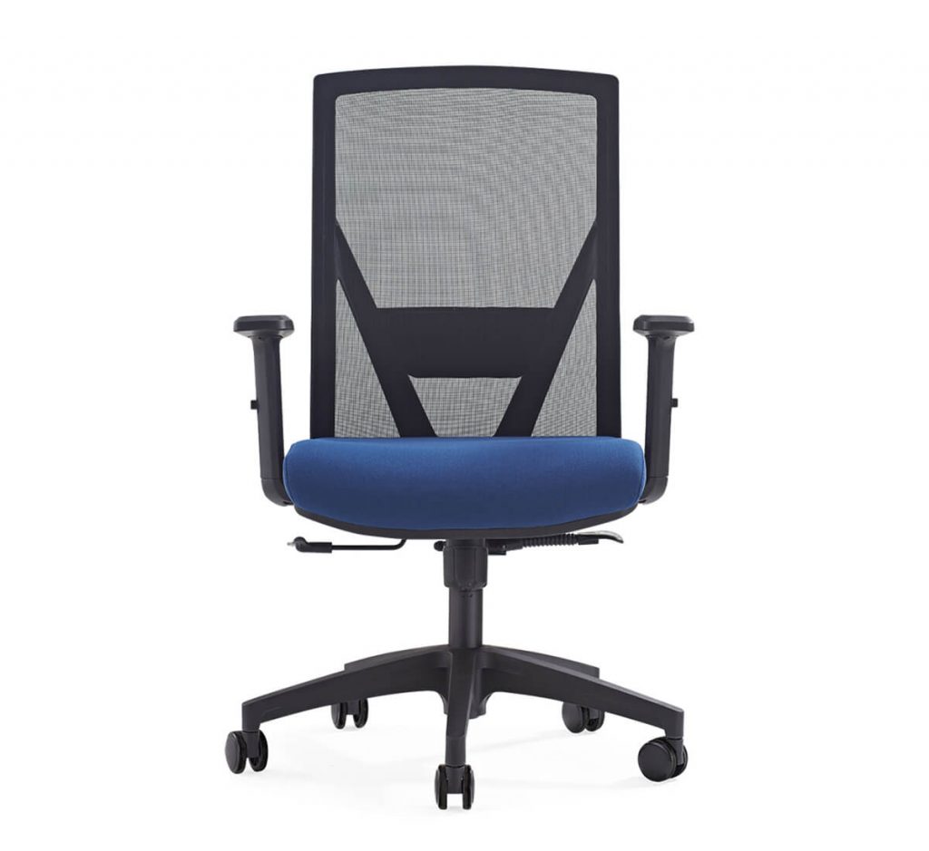 Executive Lumbar Support Adjustable Chair