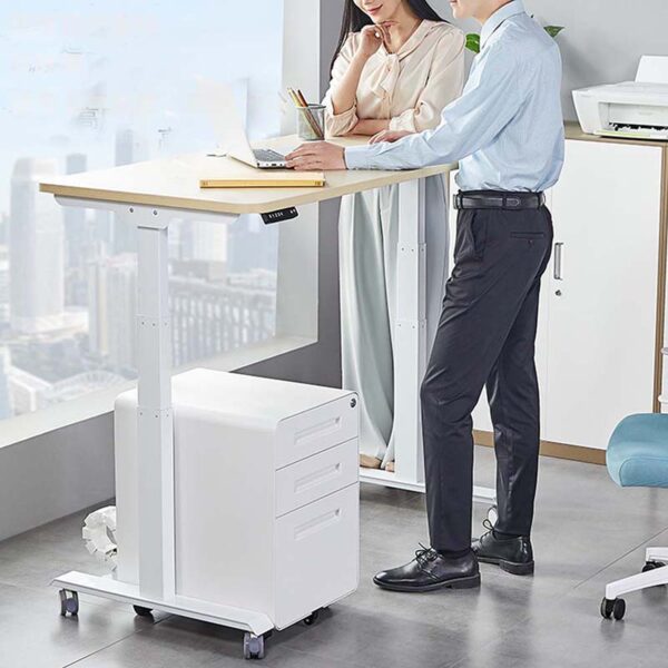 Dual Motor Adjustable Height Electric Standing Desk